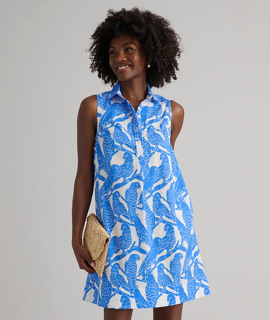 blue printed cotton dress, front view